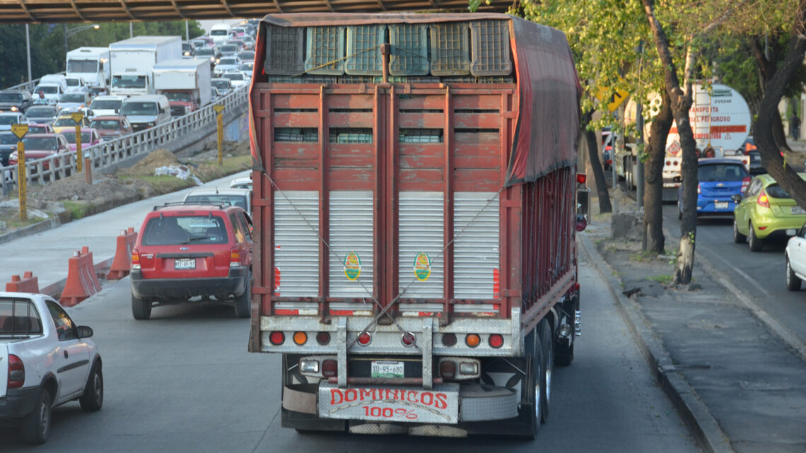 Se mantienen exportaciones; ventas en el mercado interno siguen bajas: ANPACT