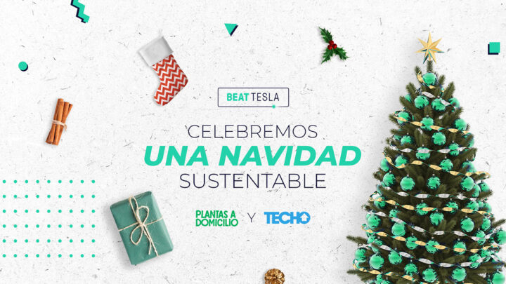 Beat Tesla celebra la verde Navidad regalando árboles sustentables a sus pasajeros