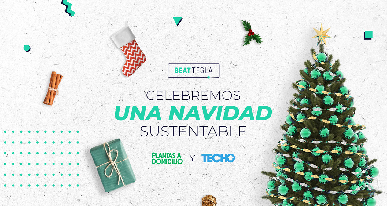 Beat Tesla celebra la verde Navidad regalando árboles sustentables a sus  pasajeros - Revista Movilidad3