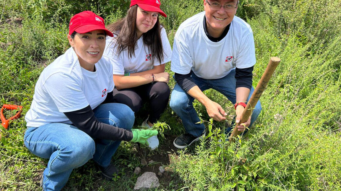 ReforestaTIP: TIP México reafirma su compromiso verde