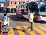 Necesaria política pública para transporte de pasajeros