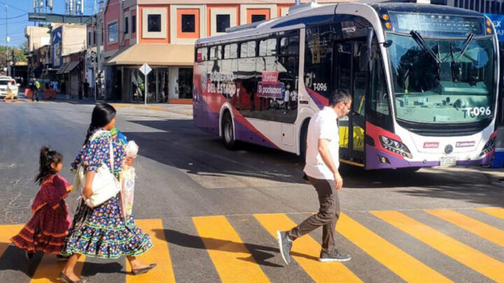 Necesaria política pública para transporte de pasajeros