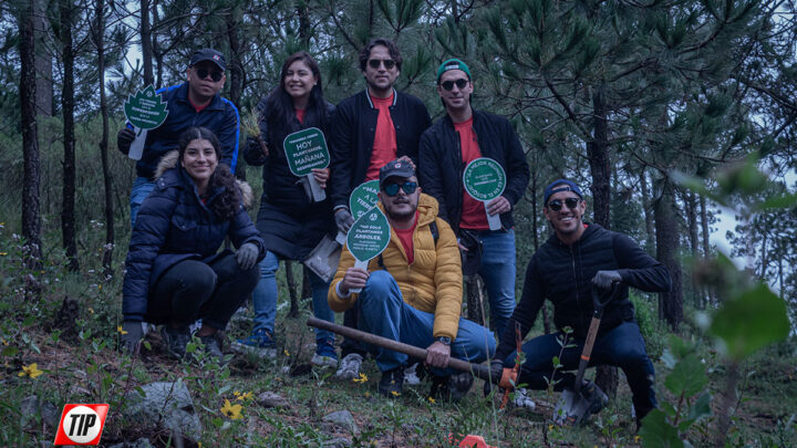 ReforestaTIP lo hace de nuevo, reverdece el Ajusco